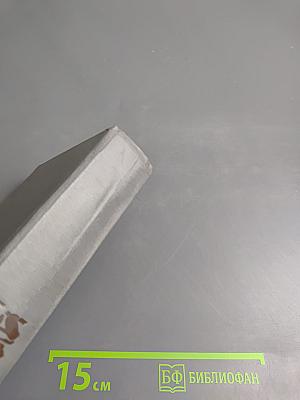 Зарубежный криминальный роман