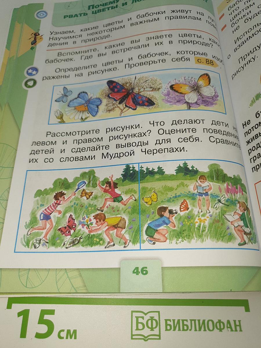 Окружающий мир