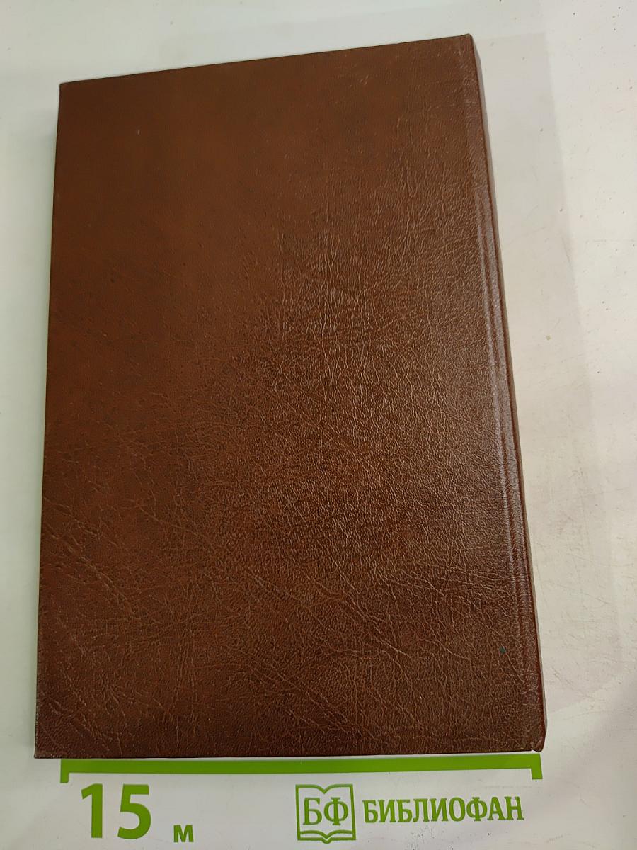 Детективный роман. Книга 2