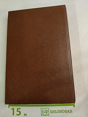 Детективный роман. Книга 2