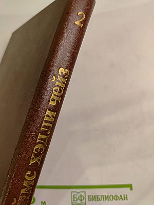 Детективный роман. Книга 2