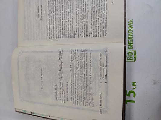 В борьбе за трон