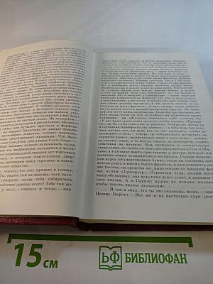 Оноре де Бальзак. Собрание сочинений. Человеческая комедия. Том 5. Этюды о нравах. Сцены парижской жизни