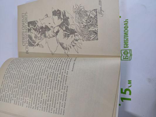 Я связь миров