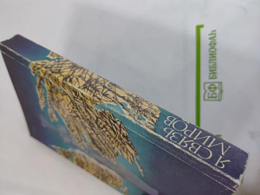 Я связь миров