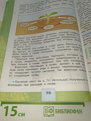 Окружающий мир. 3 класс. Часть 1
