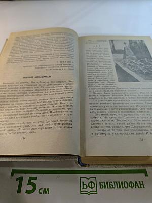 Память. Письма о войне и блокаде. Выпуск 2