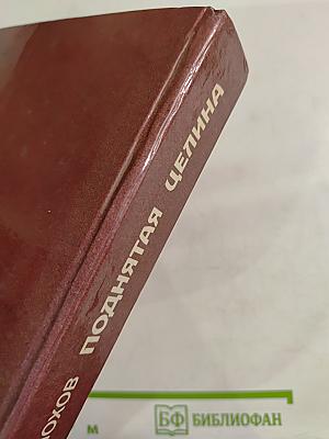 Поднятая целина