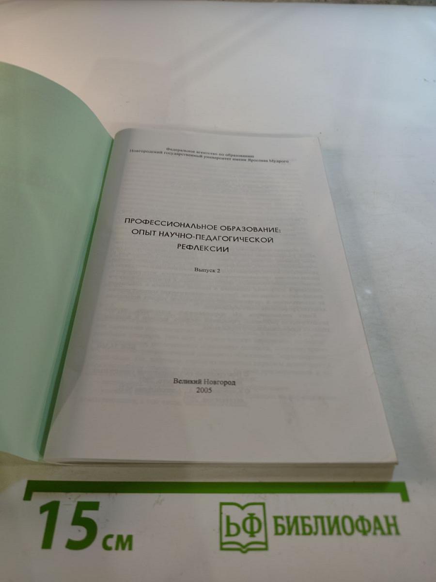 Профессиональное образование: Опыт научно-педагогической рефлексии. Выпуск 2