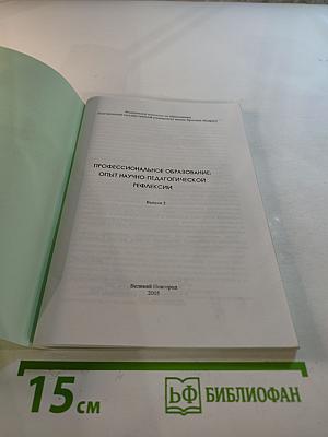 Профессиональное образование: Опыт научно-педагогической рефлексии. Выпуск 2