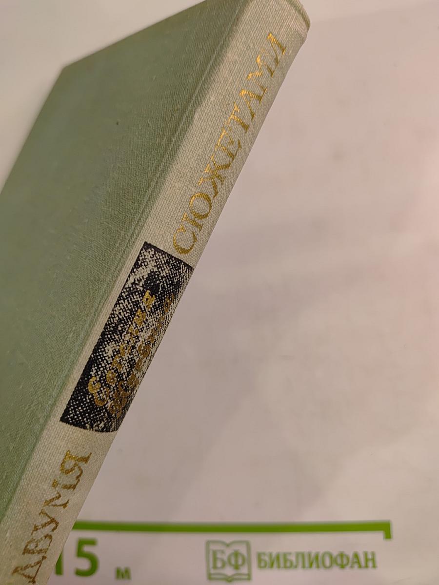 Повесть с двумя сюжетами