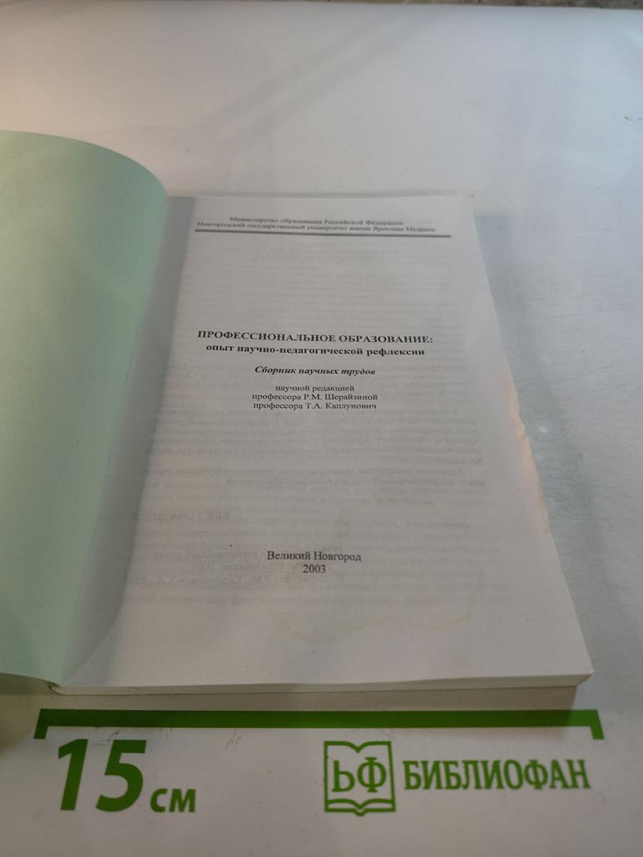 Профессиональное образование: опыт научно-педагогической рефлексии