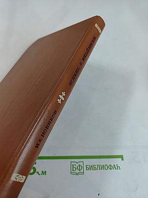 Пушкин в Михайловском