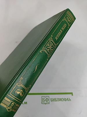 Живая вода: Советский рассказ двадцатых годов