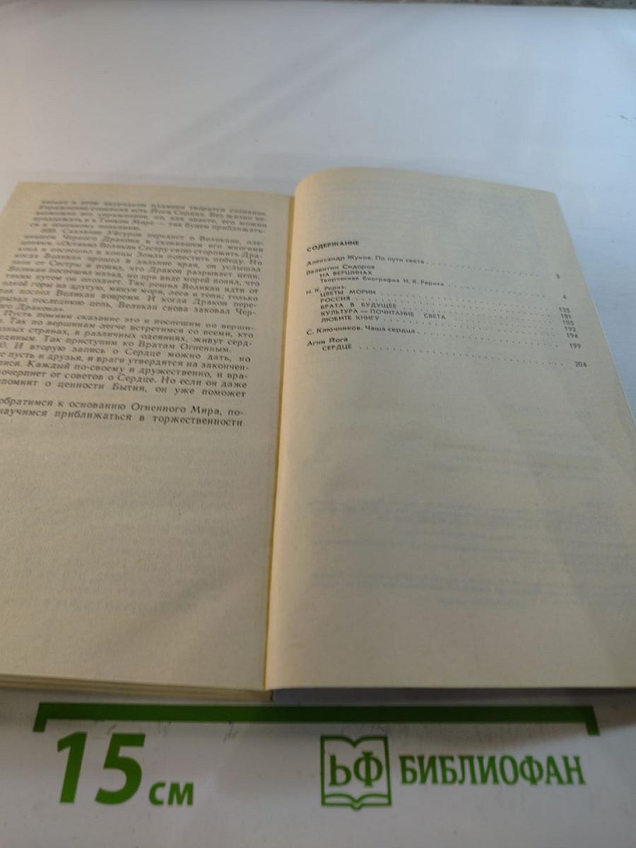 Врата в будущее