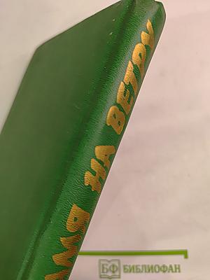 Пламя на ветру