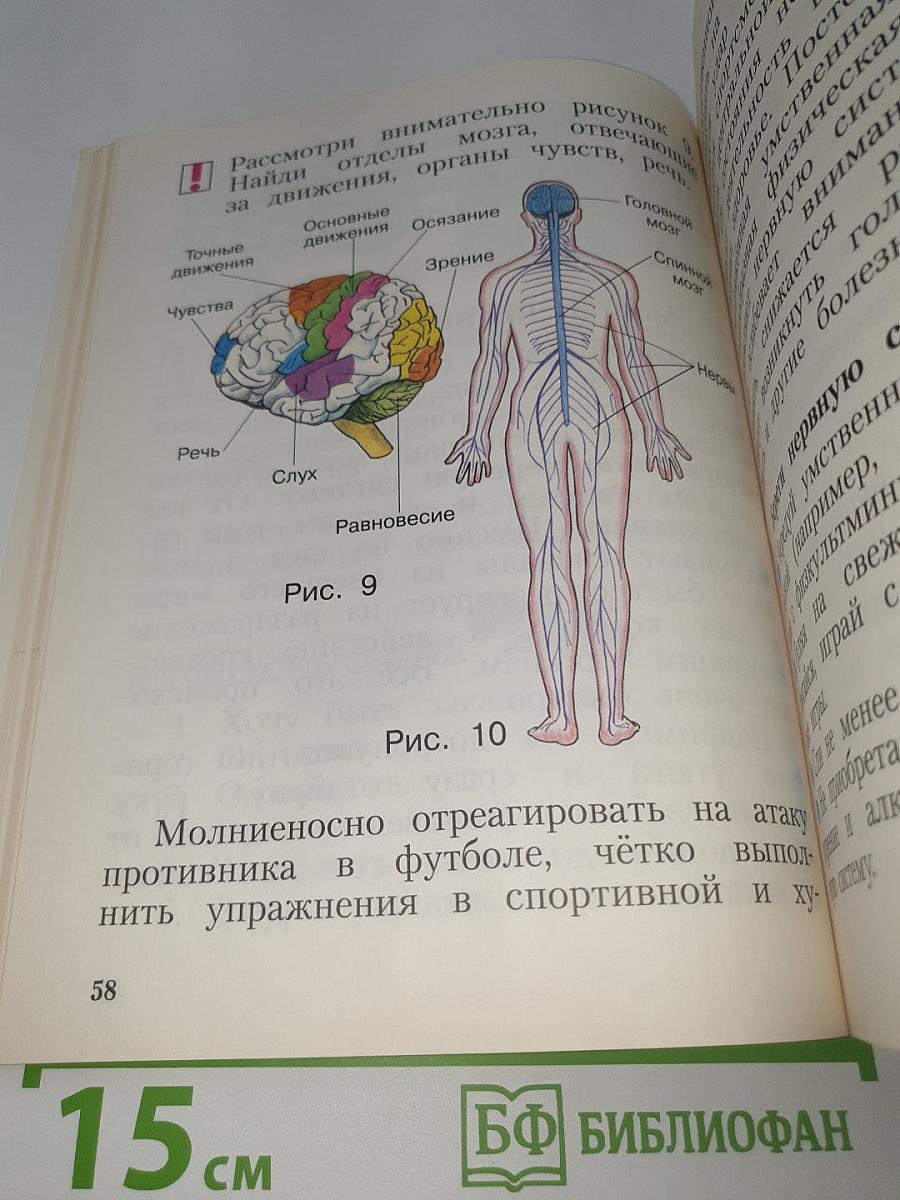 Физическая культура 1-4 классы