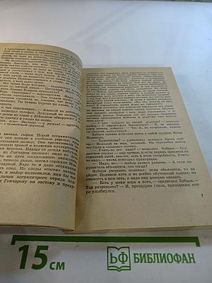 У Черного Камня