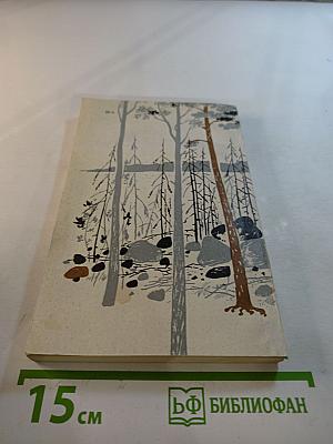 У Черного Камня