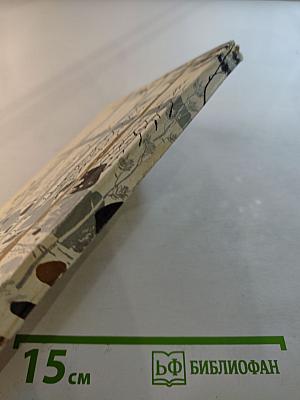 У Черного Камня