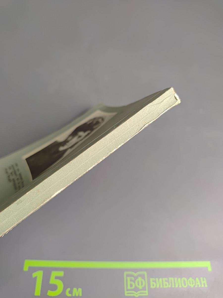 Три века юности