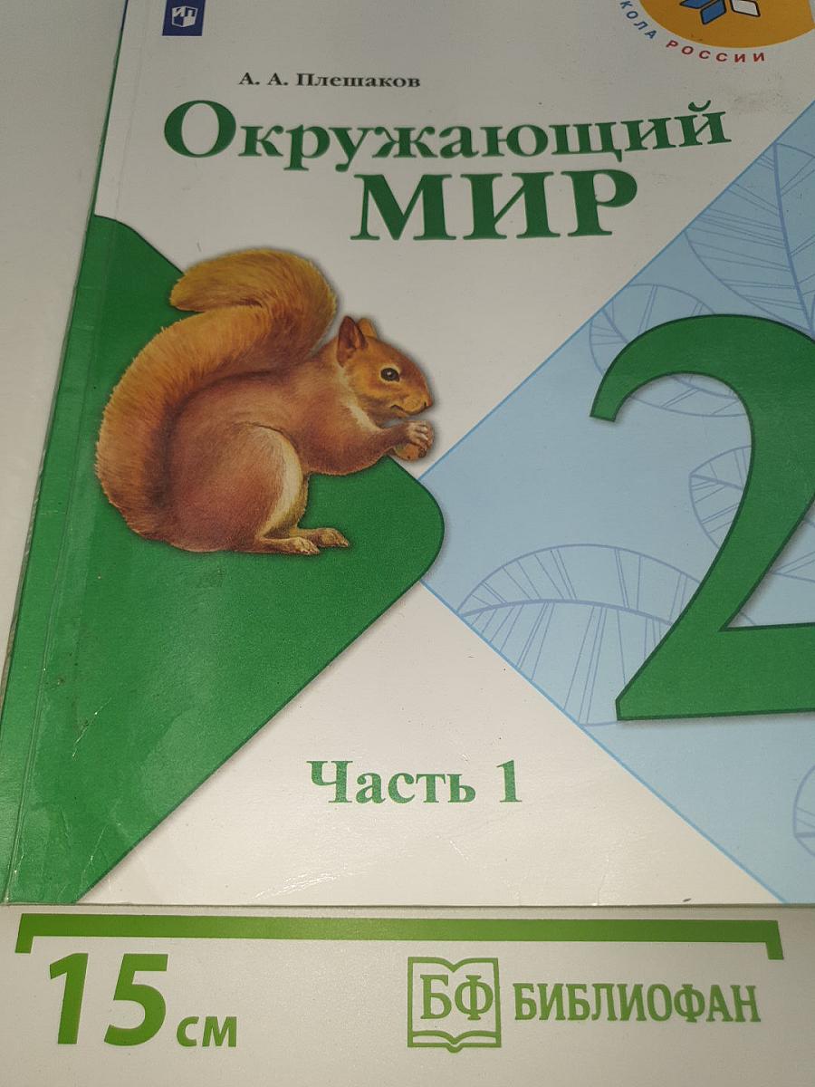 Окружающий мир