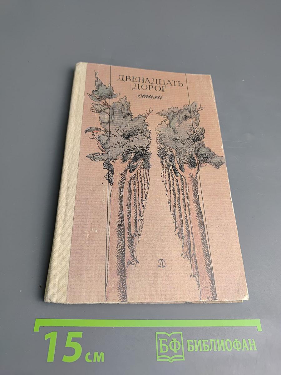 Двенадцать дорог