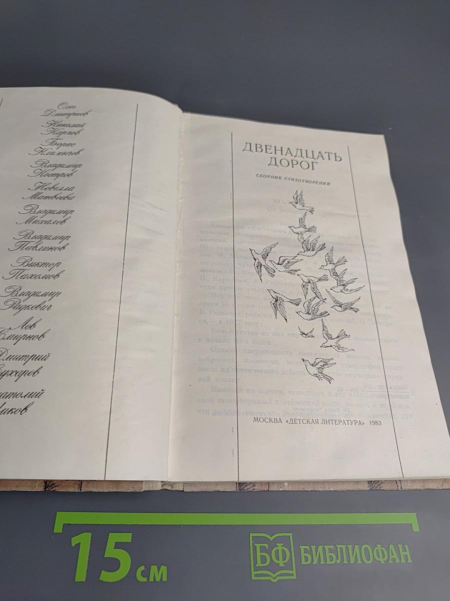 Двенадцать дорог