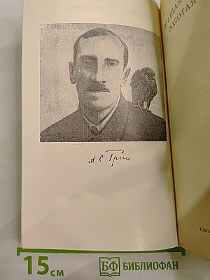 Бегущая по волнам. Золотая цепь