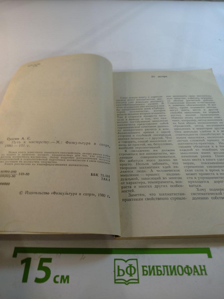 Путь к мастерству