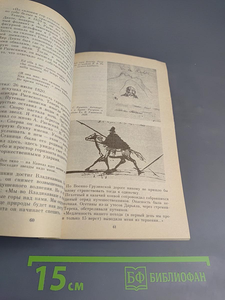 Раевские мои...