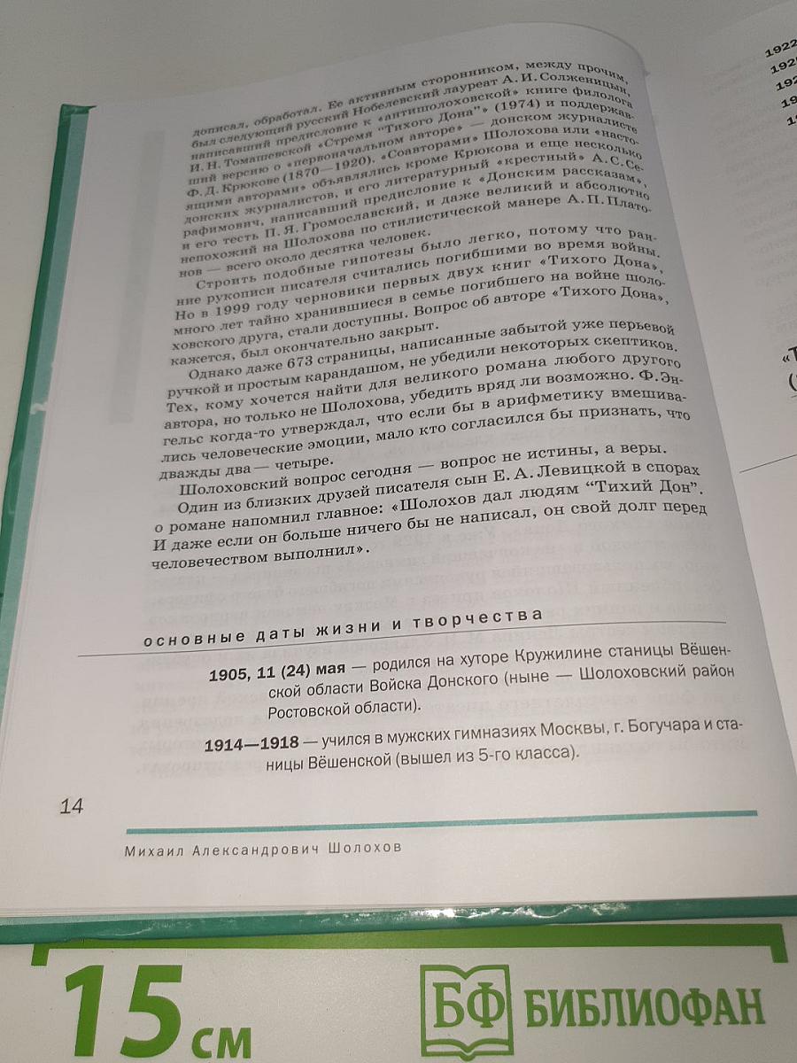Литература. 11 класс. Базовый уровень. В двух частях. Часть 2