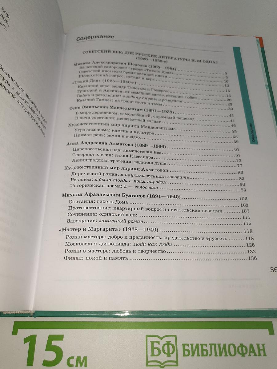 Литература. 11 класс. Базовый уровень. В двух частях. Часть 2