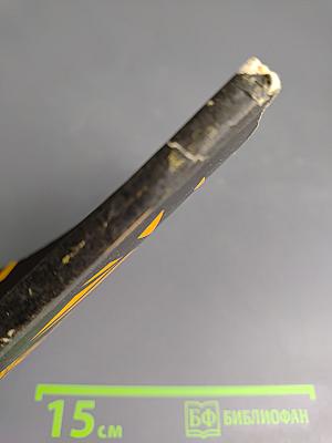 Парень из Горегрона