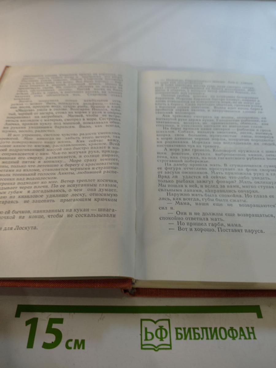 Честь смолоду