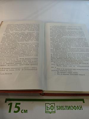 Честь смолоду