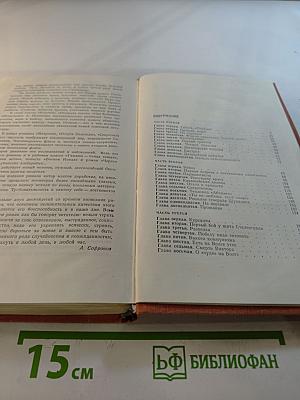 Честь смолоду