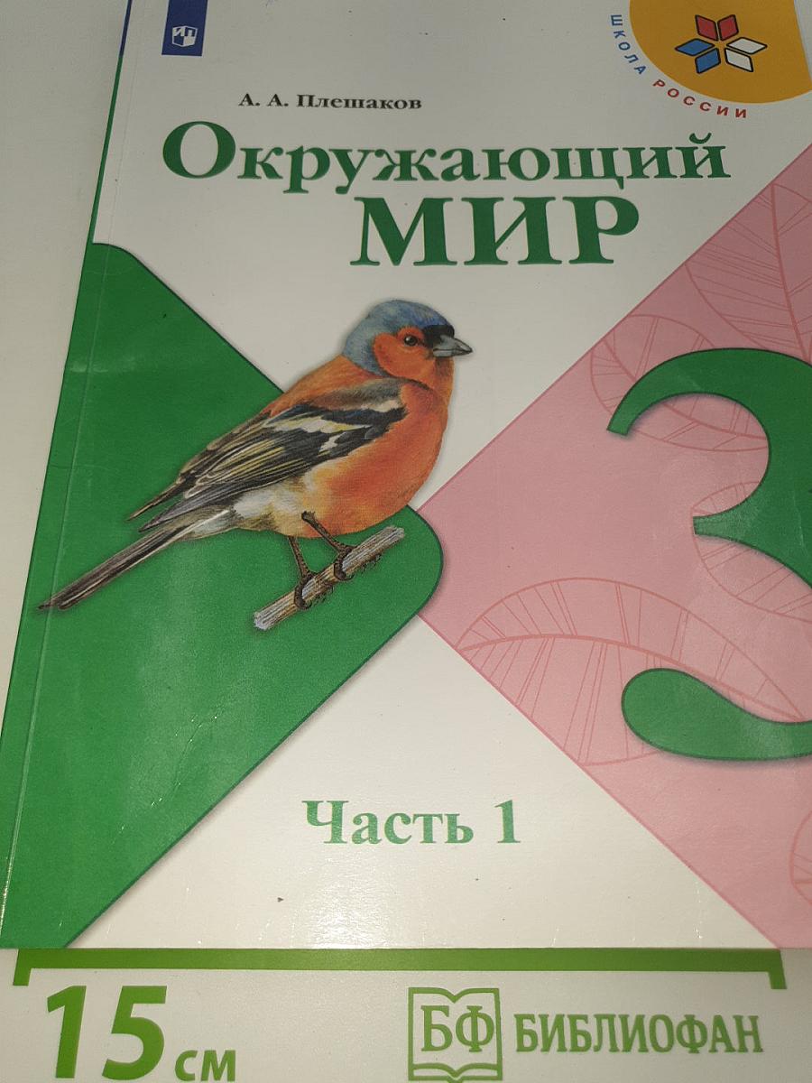 Окружающий мир