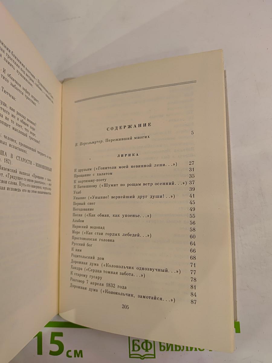 П. А. Вяземский. Лирика