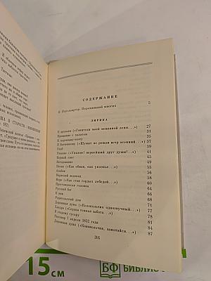 П. А. Вяземский. Лирика