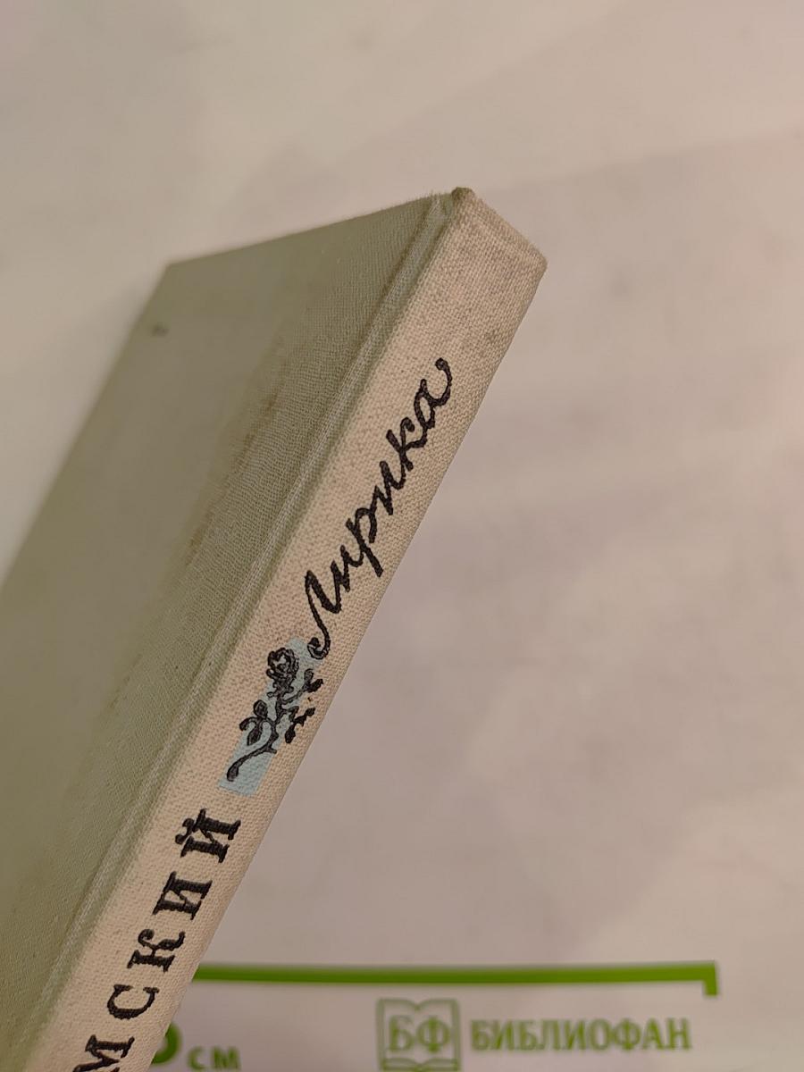 П. А. Вяземский. Лирика