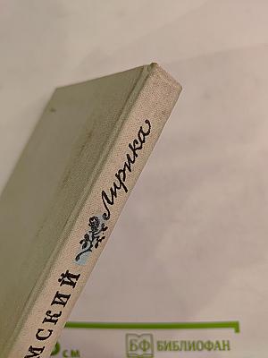 П. А. Вяземский. Лирика