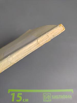 Биологические основы старения и долголетия