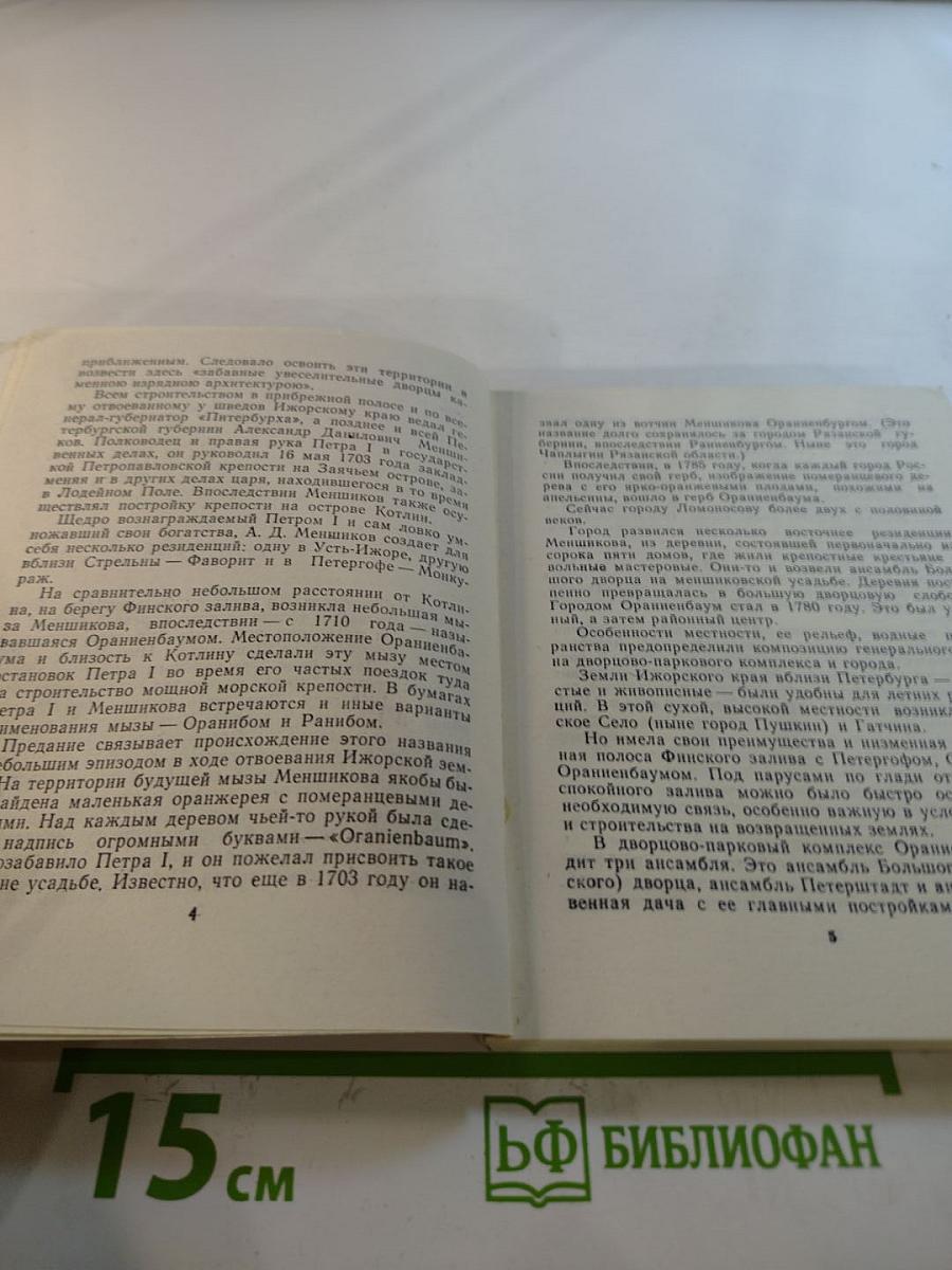 Художественные памятники города Ломоносова