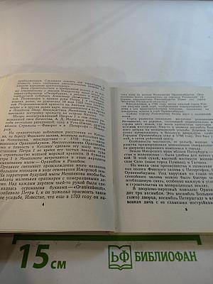 Художественные памятники города Ломоносова