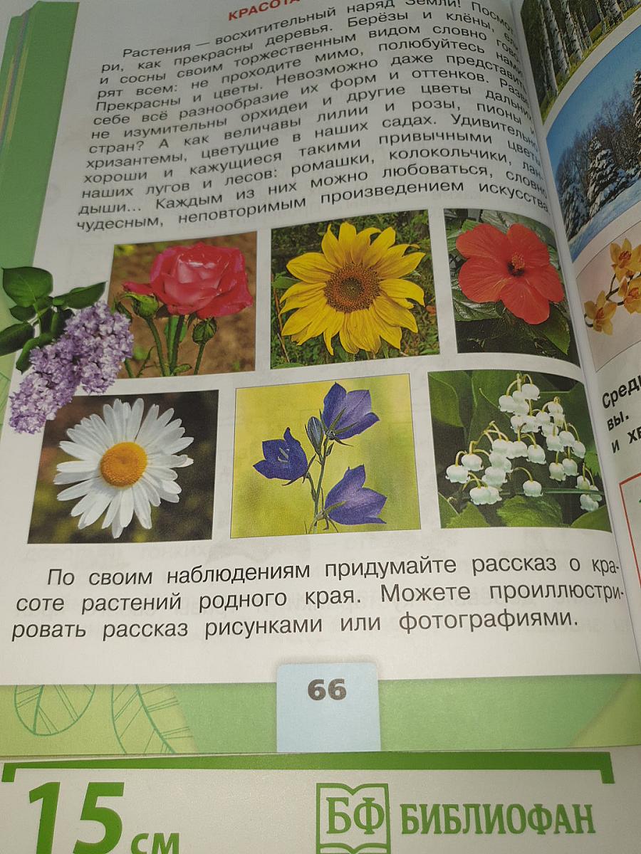Окружающий МИР. 2 класс. Часть 1