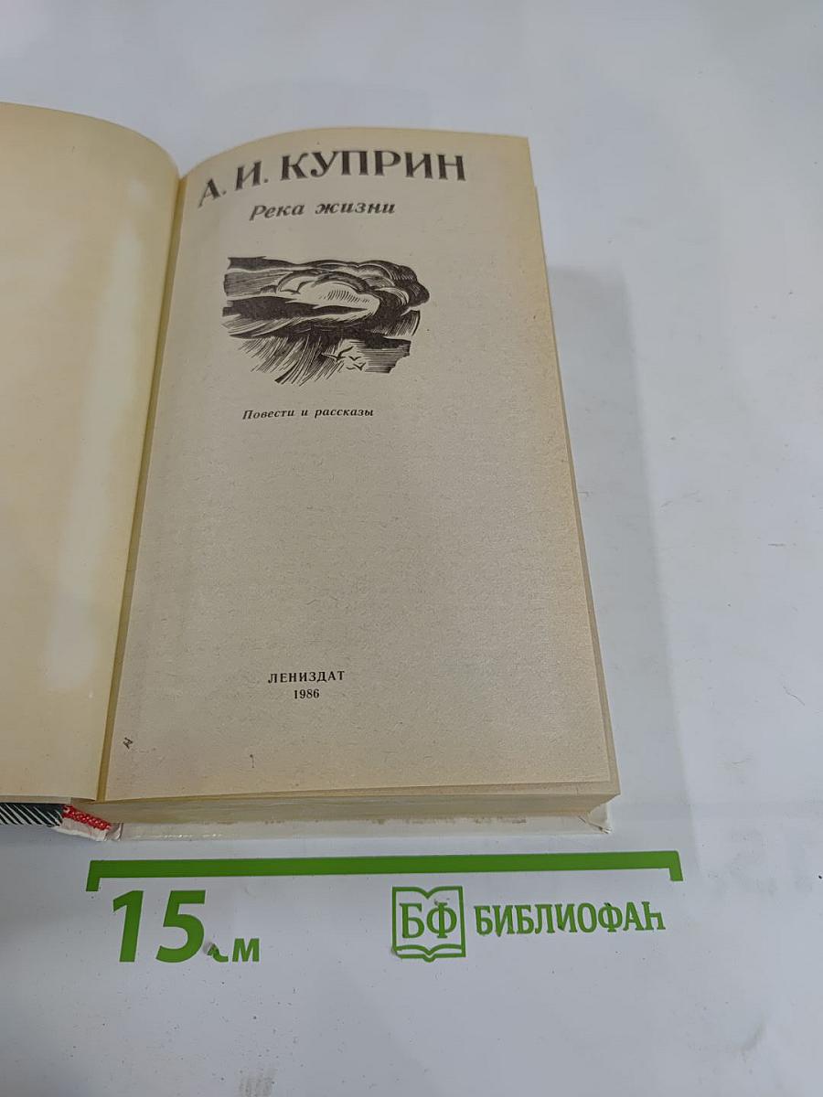 Река жизни. Повести и рассказы