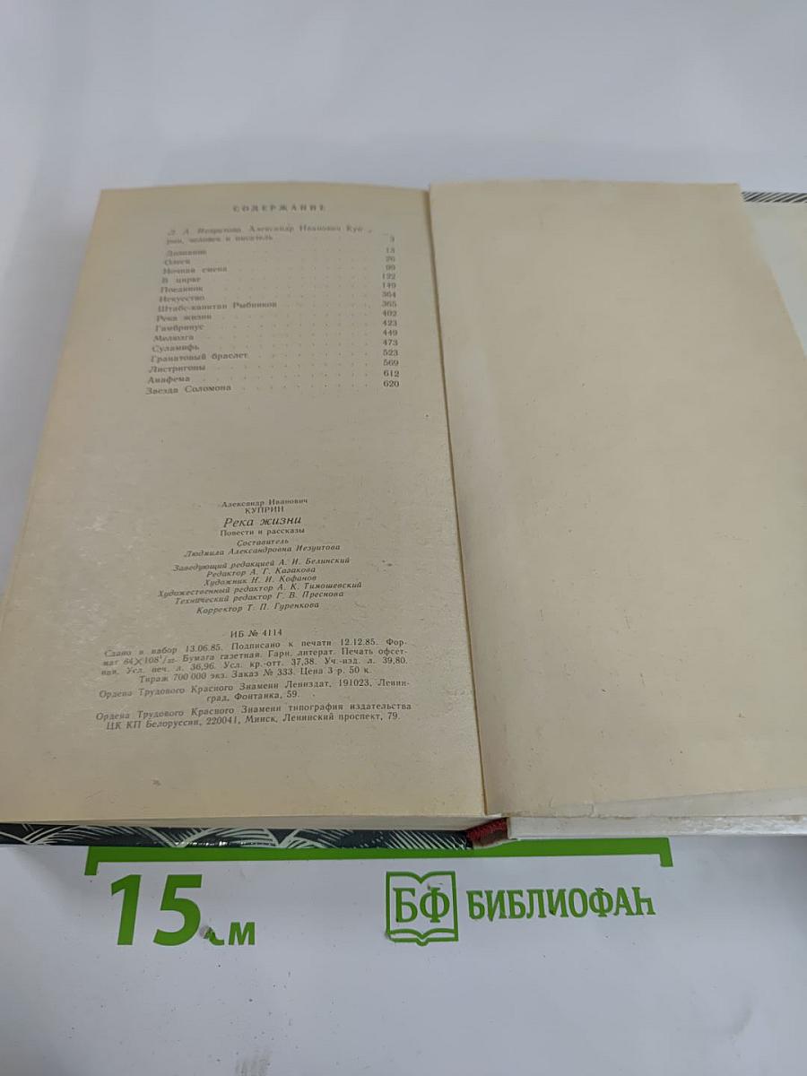 Река жизни. Повести и рассказы