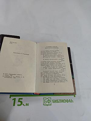 В нашу гавань заходили корабли... Песни городских дворов и окраин