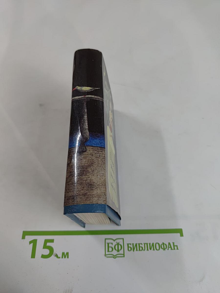 В нашу гавань заходили корабли... Песни городских дворов и окраин